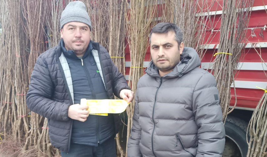 Fidan satıcıları denetlendi