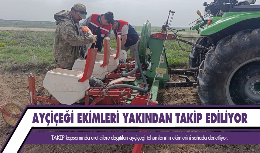 Ayçiçeği ekimleri yakından takip ediliyor