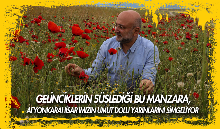 Gelinciklerle süslü bozkır manzaralı bahar molası
