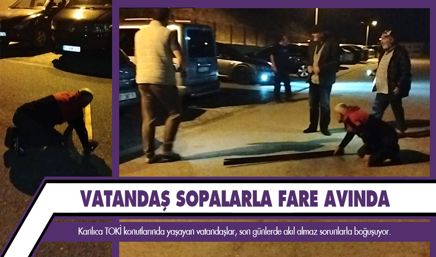 Kanlıca TOKİ’i fareler bastı