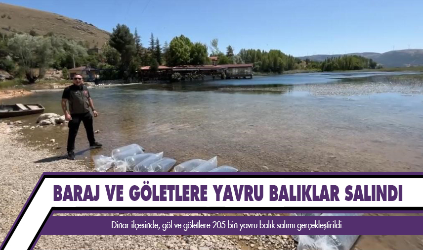 Baraj ve göletlere yavru balık salındı