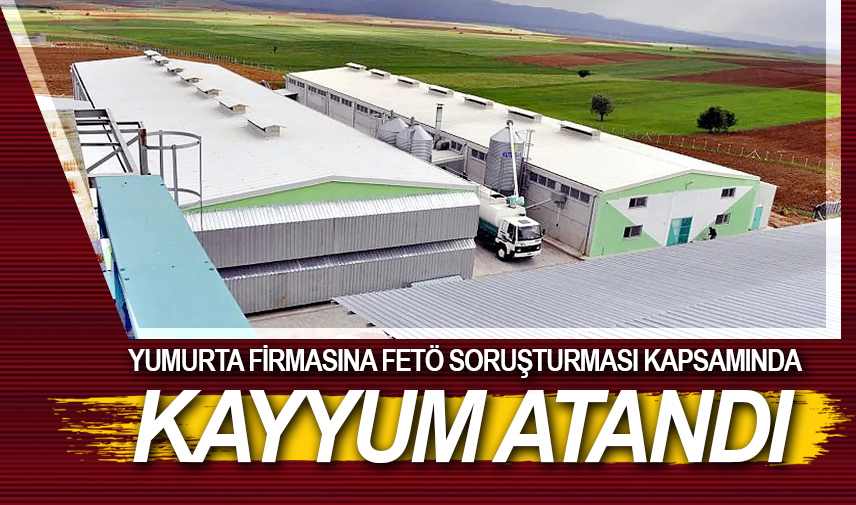 Yumurta firmasına FETÖ soruşturması kapsamında kayyum atandı