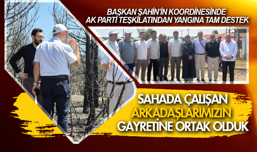AK Parti teşkilatından yangına tam destek