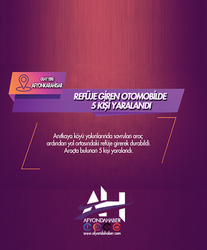 Refüje giren otomobilde 5 kişi yaralandı